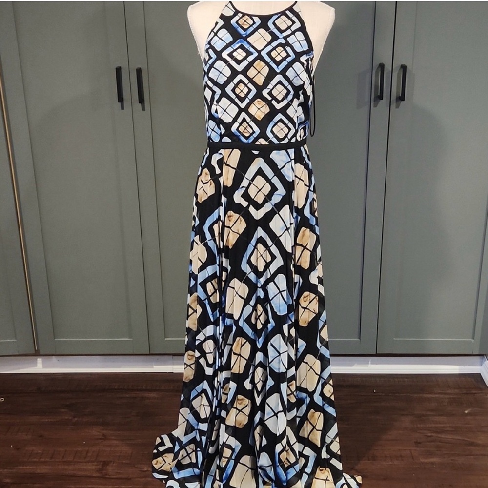 Anthropologie (Sachin & Babi) Marisol maxi dress, size 4P. - Picture 4 of 4
